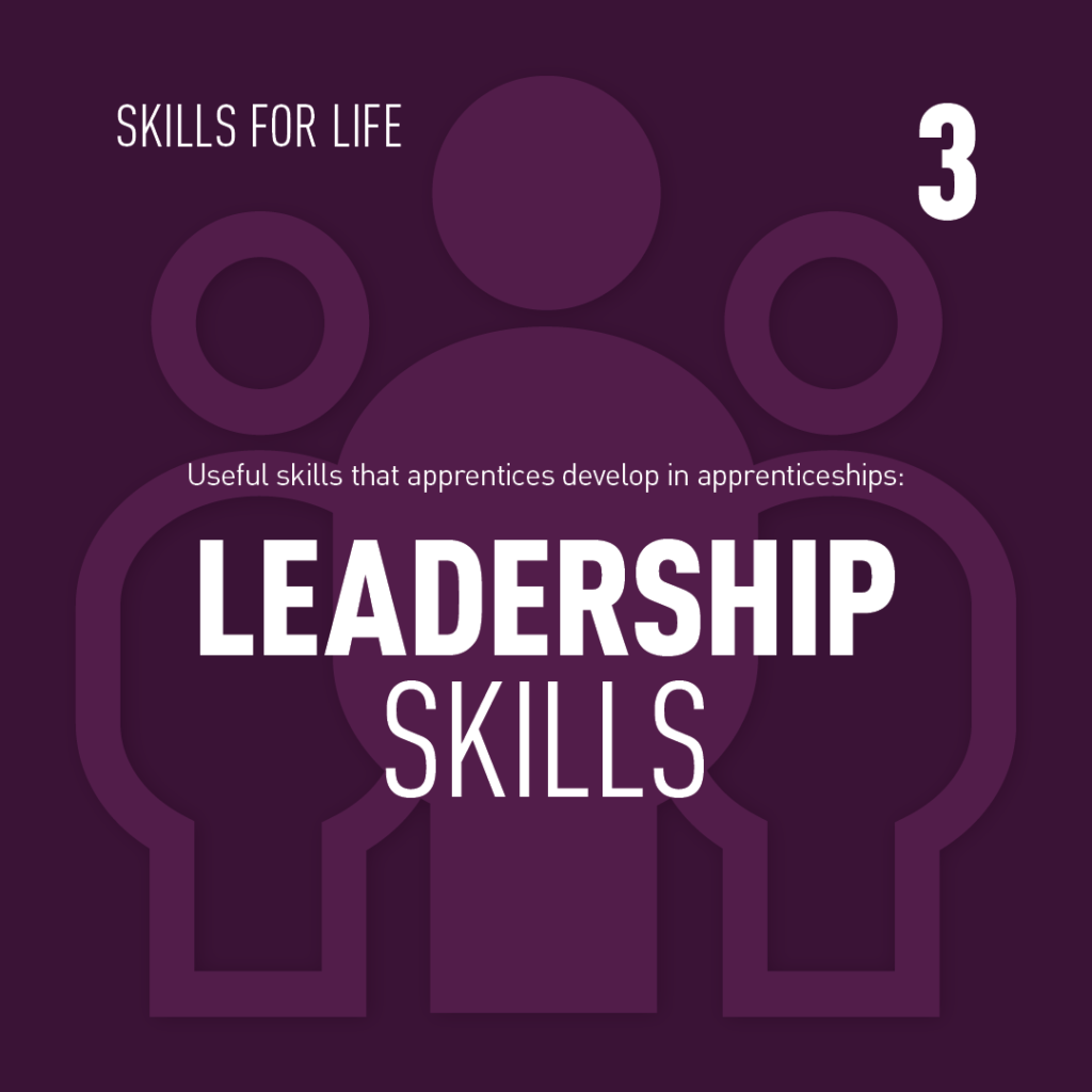 Apprentice Skill 3 Leadership